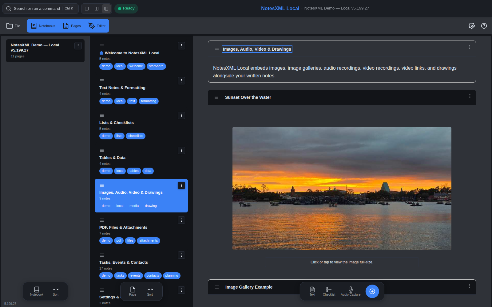 NotesXML Local on Windows & Linux: Media Dark Theme